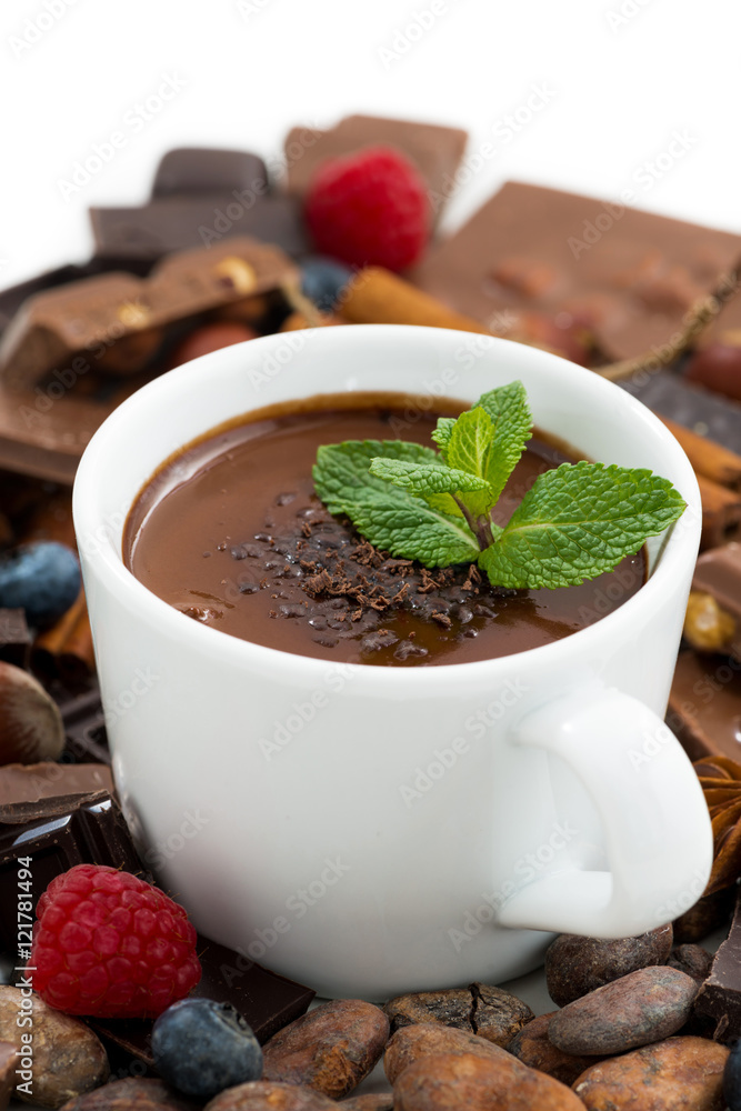 hot chocolate with mint and ingredients, vertical hot chocolate with mint and ingredients, vertical