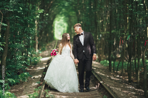 luxury stylish young bride and groom on the background spring sunny green forest