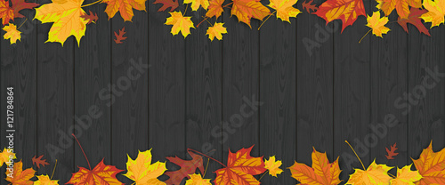 Dark Wood Autumn Foliage Header