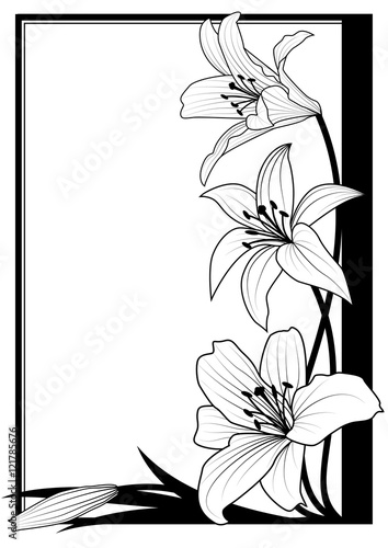 lily frame in black