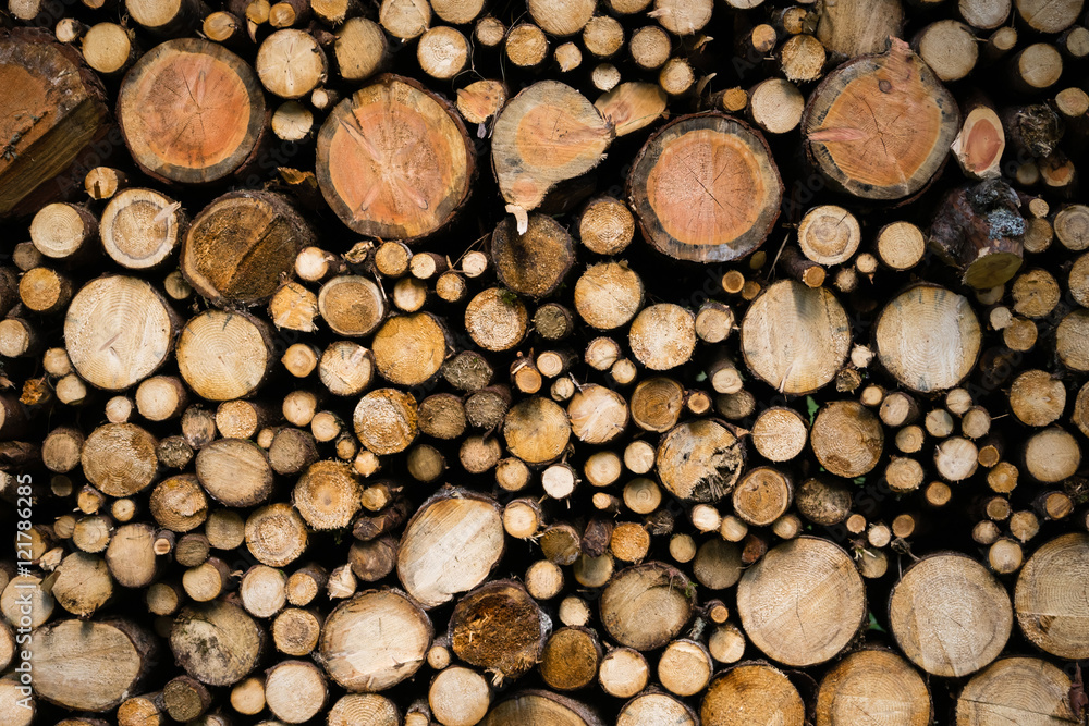 Detail view of chopped wood. Texture of wooden logs. Detail view of chopped wood. Texture of wooden logs.
