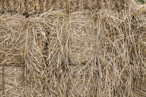 Straw stack fodder background