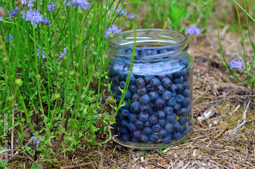 Glass jar of blueberries