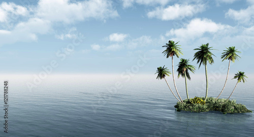Palms © Sergey Tokarev