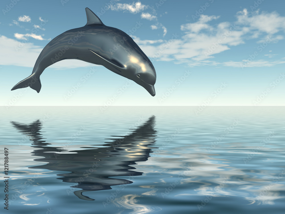 Fototapeta premium Dolpin