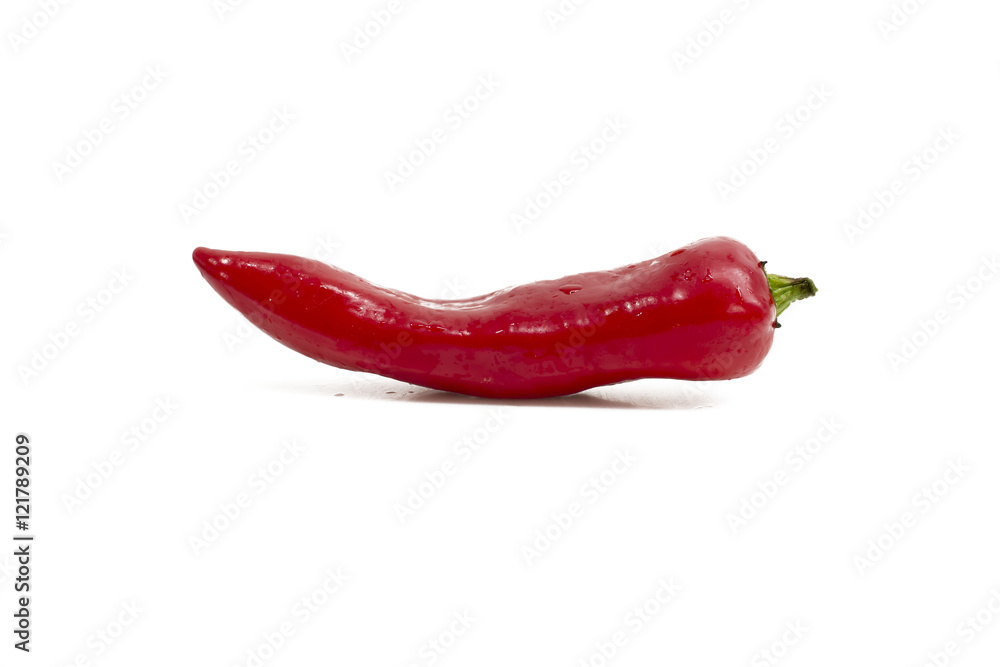 chile / red pepper on white background