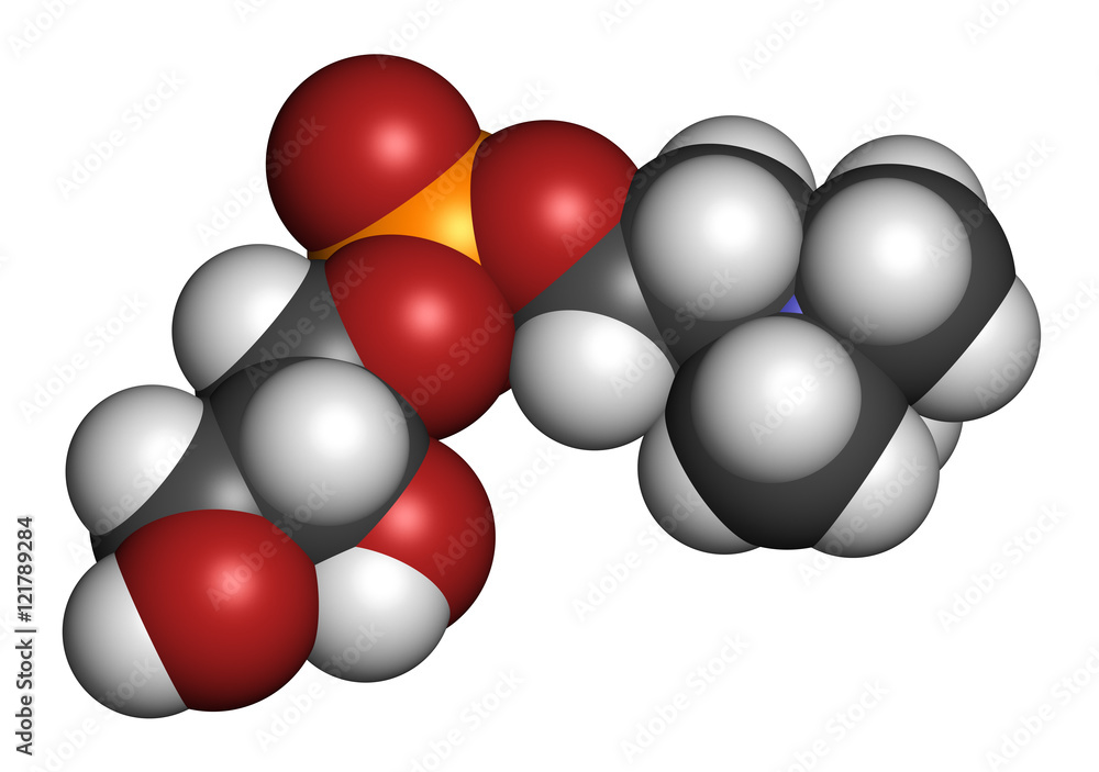 Alpha-GPC (L-Alpha glycerylphosphorylcholine, choline alfoscerate). Alpha-GPC (L-Alpha glycerylphosphorylcholine, choline alfoscerate).