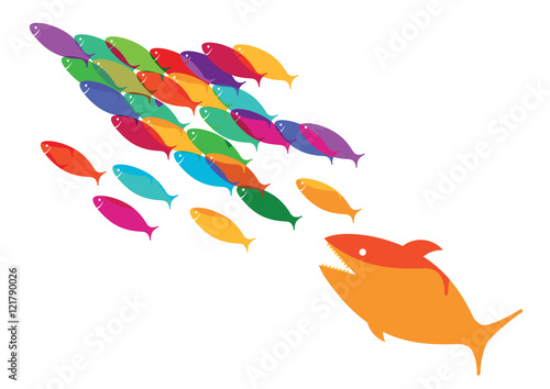 Fischschwarm auf der Flucht