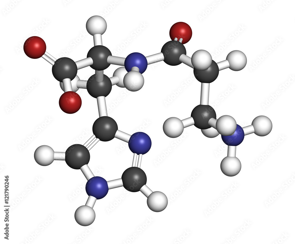 Carnosine (L-carnosine) food supplement molecule. 3D rendering. Carnosine (L-carnosine) food supplement molecule. 3D rendering.