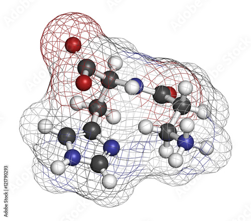 Carnosine (L-carnosine) food supplement molecule. 3D rendering. photo