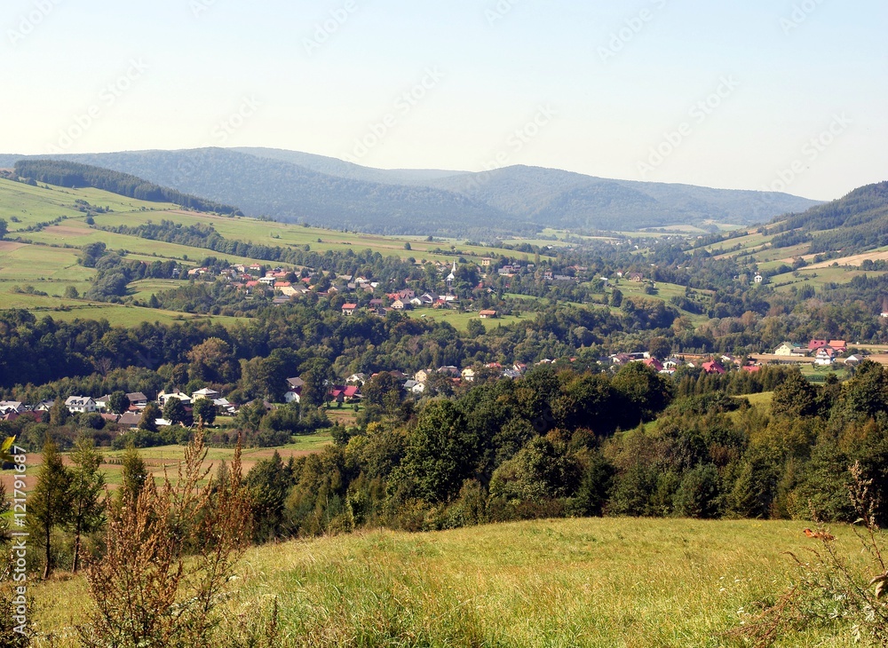 landscape of carpathians mountains near Krempna village