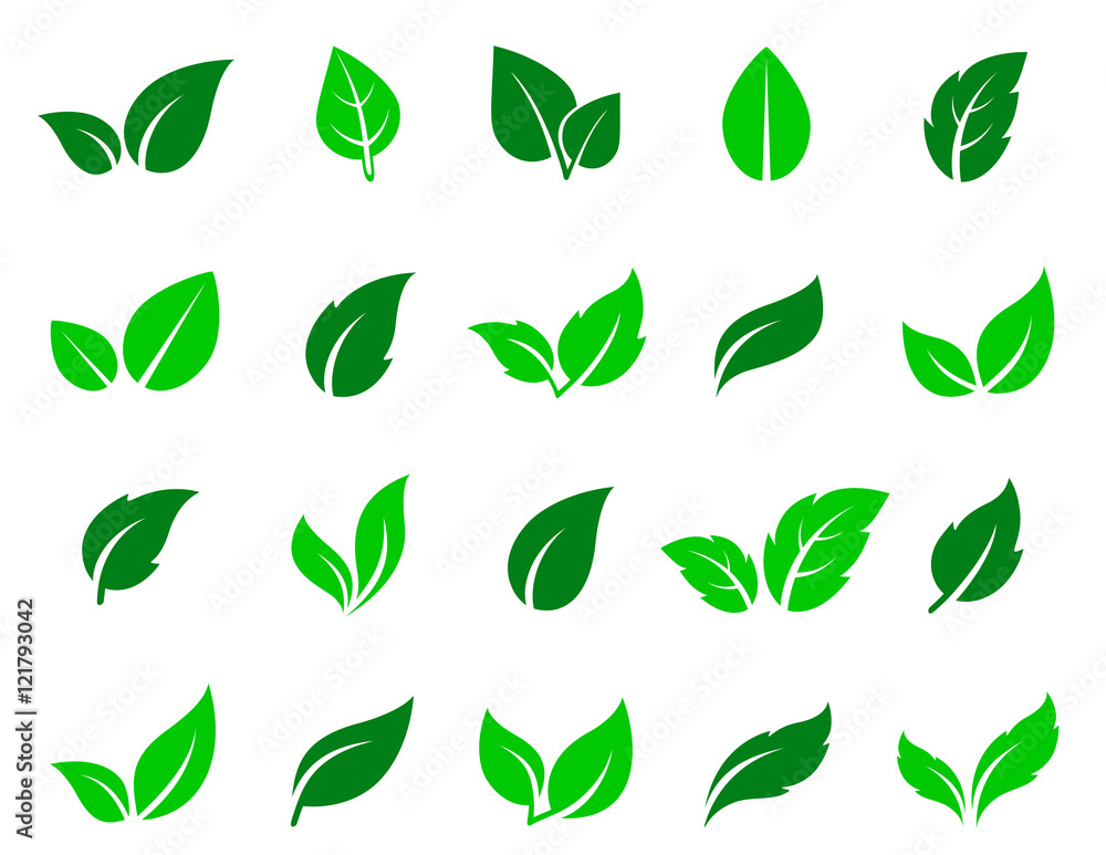 green leaf icons set - obrazy, fototapety, plakaty 
