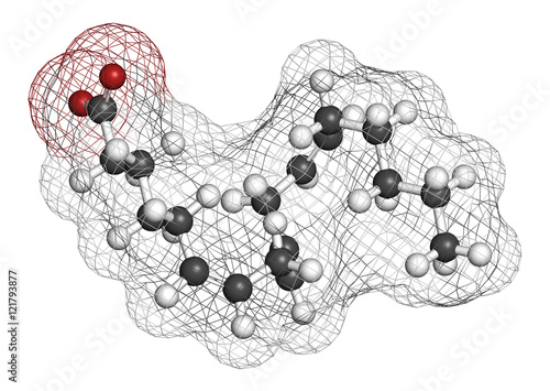 Gamma-linolenic acid (GLA, gamolenic acid) molecule.  photo