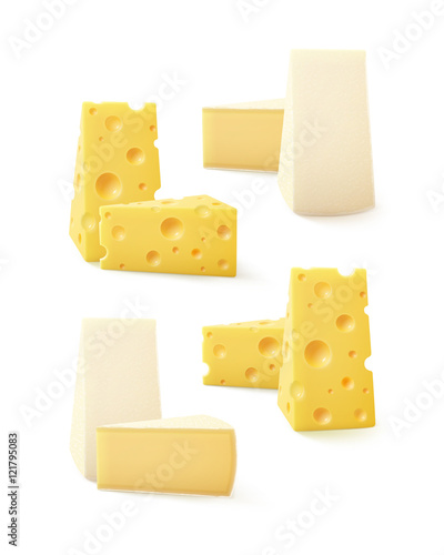 Set of Pieces Cheese Swiss Bri Camembert Isolated on Background