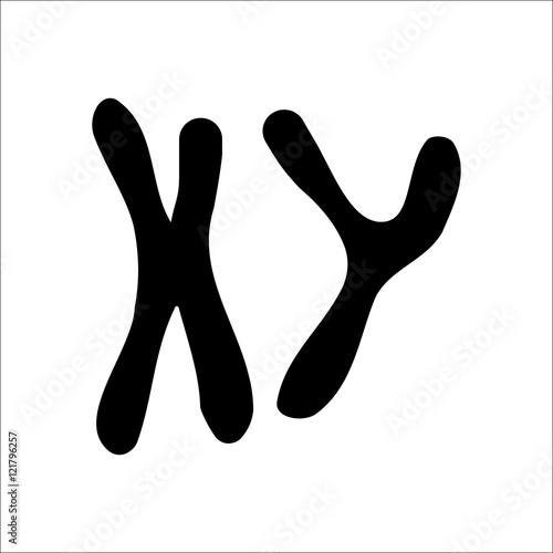 X and Y chromosome sign silhouette icon on background