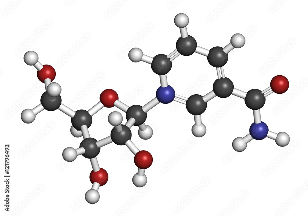 Nicotinamide riboside (NR) molecule. 