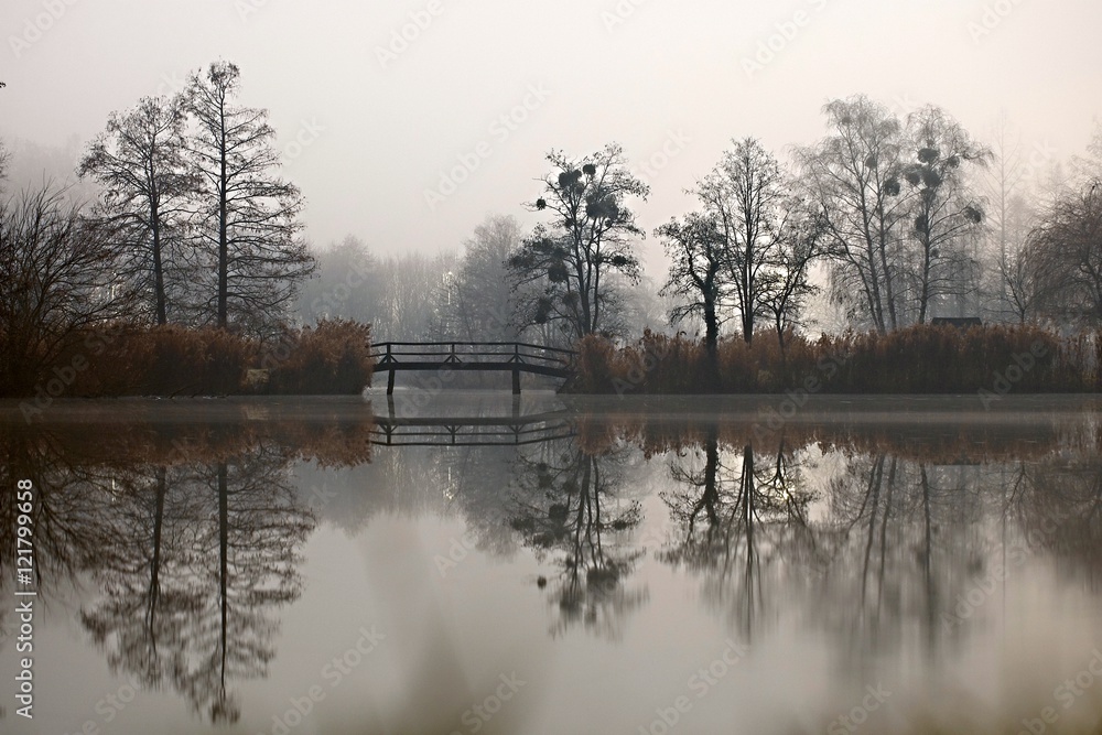 Fototapeta premium Dark autumn park