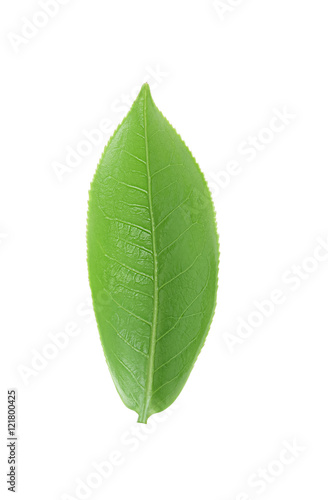 green tea leaf isolated on white background