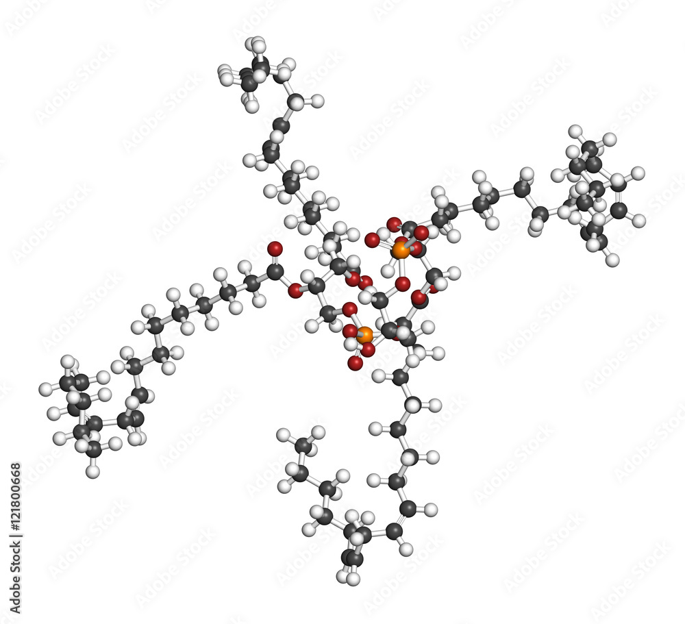 Cardiolipin (tetralinoleoyl cardiolipin) molecule. Cardiolipin (tetralinoleoyl cardiolipin) molecule.