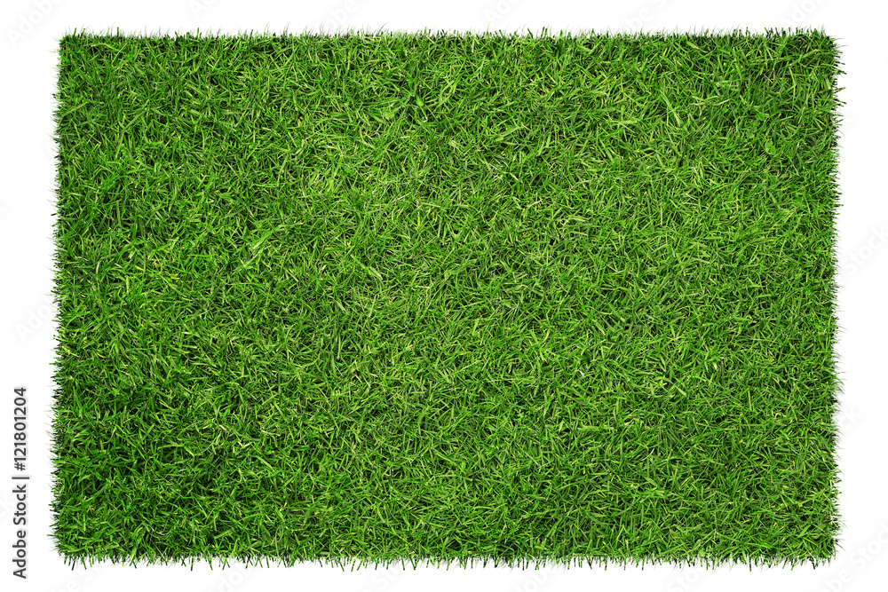 Close up of green grass texture isolated on white - obrazy, fototapety, plakaty 