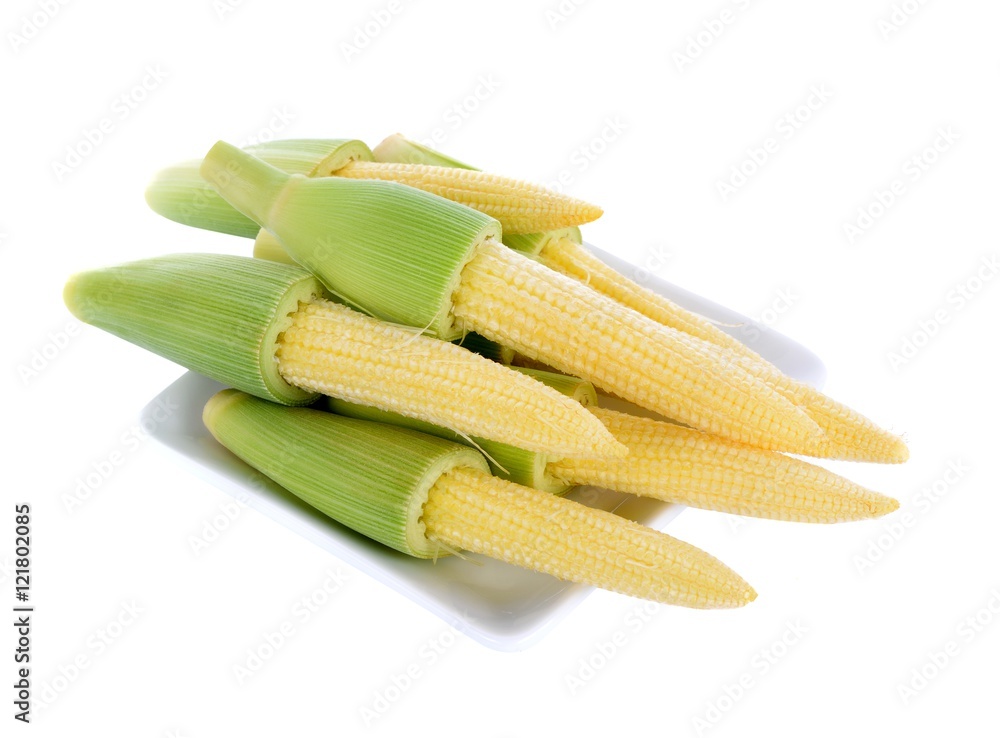 young small corn in white plate on white background young small corn in white plate on white background