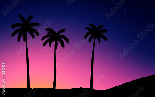 Night Sky With Stars. Palm Trees on Sunset.