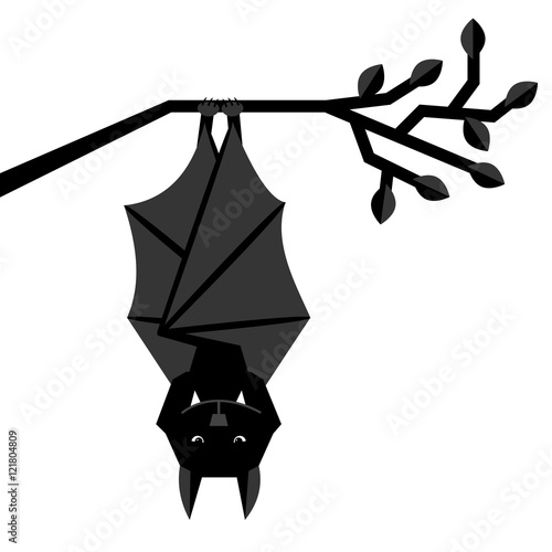 Bat with turned wings is hanging on branch