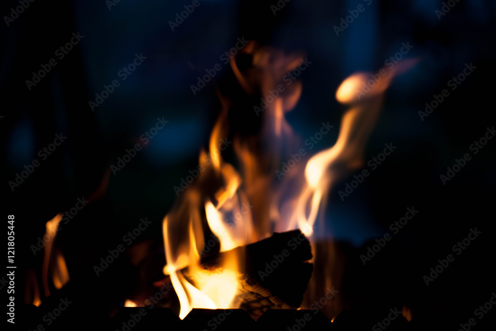bright warm fire. The concept of nature. bright warm fire. The concept of nature.