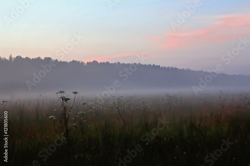 Fog in summer relax field