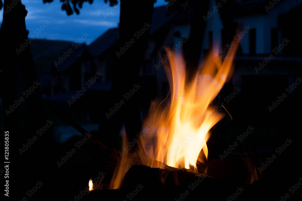 burning bright flame. The concept of nature. burning bright flame. The concept of nature.