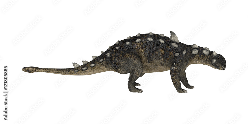 3D Rendering Dinosaur Euoplocephalus on White 3D Rendering Dinosaur Euoplocephalus on White