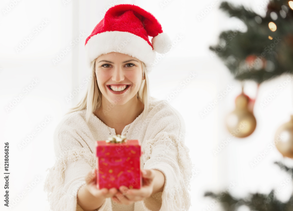 Young, beautiful woman holding a Christmas present Young, beautiful woman holding a Christmas present