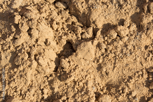 Small slides on the surface of the sand on the beach or in a sandbox, illuminated by the evening sun.