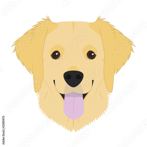 Golden Retriever dog isolated on white background vector illustration