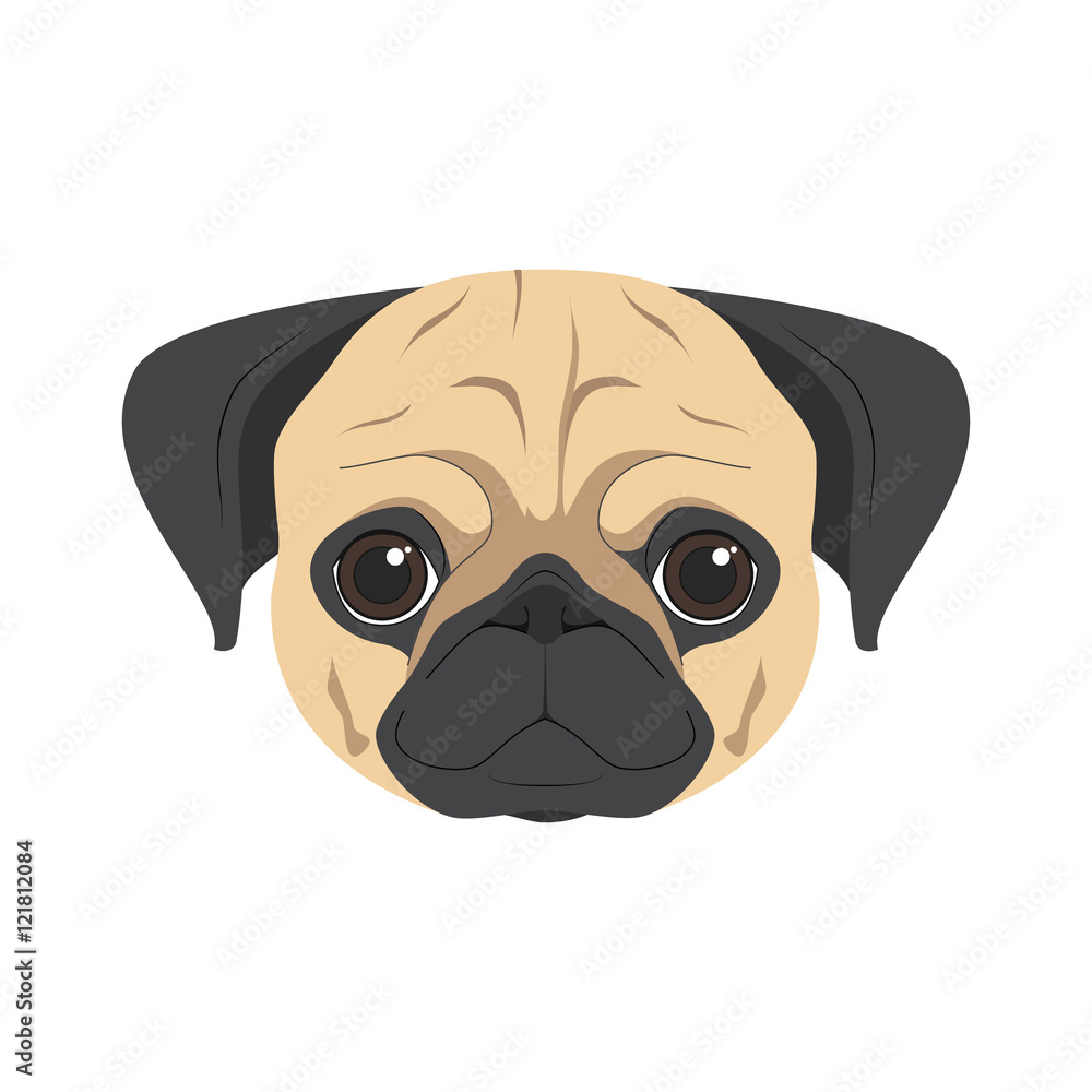 Pug dog isolated on white background vector illustration Pug dog isolated on white background vector illustration
