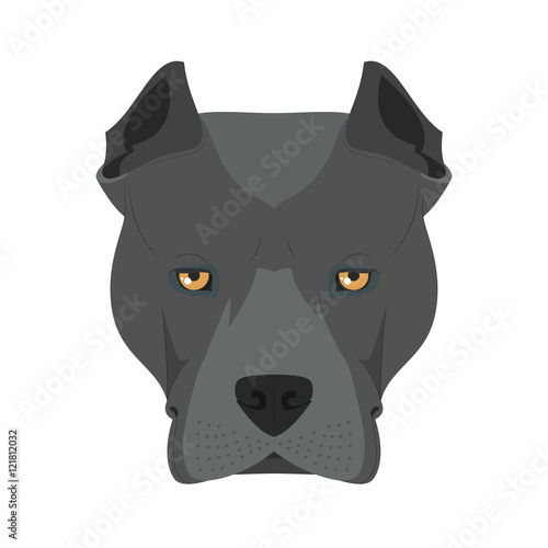 American Staffordshire Terrier dog isolated on white background vector illustration