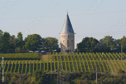 Die Flörsheimer Warte in Flörsheim Wicker photo