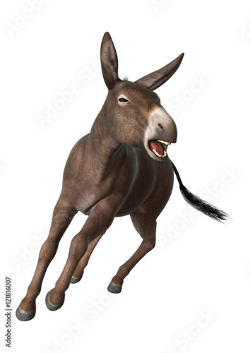Wallpaper Mural 3D Rendering Donkey on White Torontodigital.ca