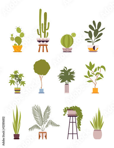 Set of four green floor plants in retro pots isolated against white background. Cartoon vector flat-style illustration