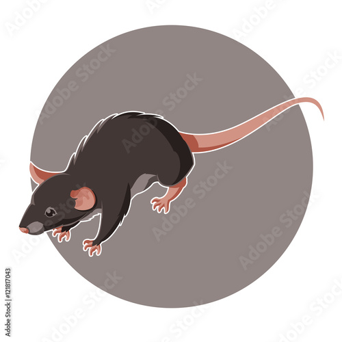Isometric rat icon
