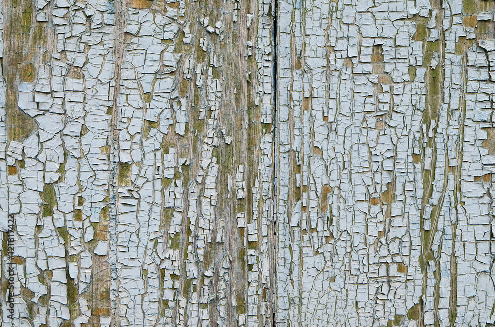 Obraz premium fragment of the wooden planks of a village house with the old paint
