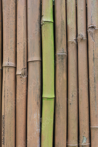 Painted bamboo fence background