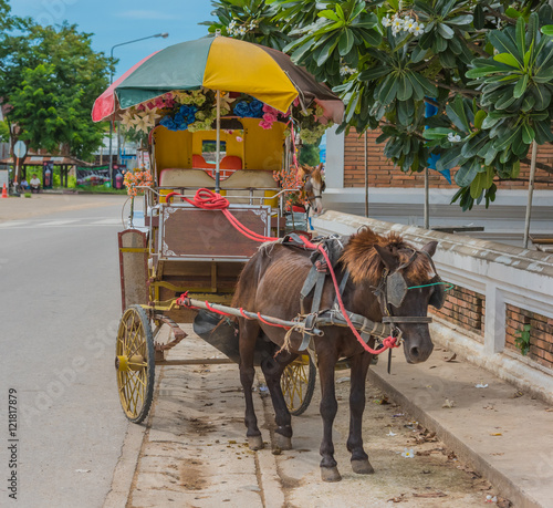 The carriage designed for private passenger.