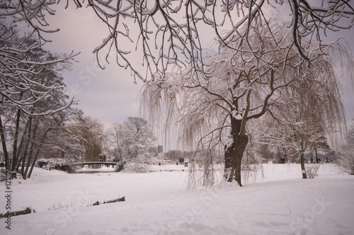 snow and alster in winter