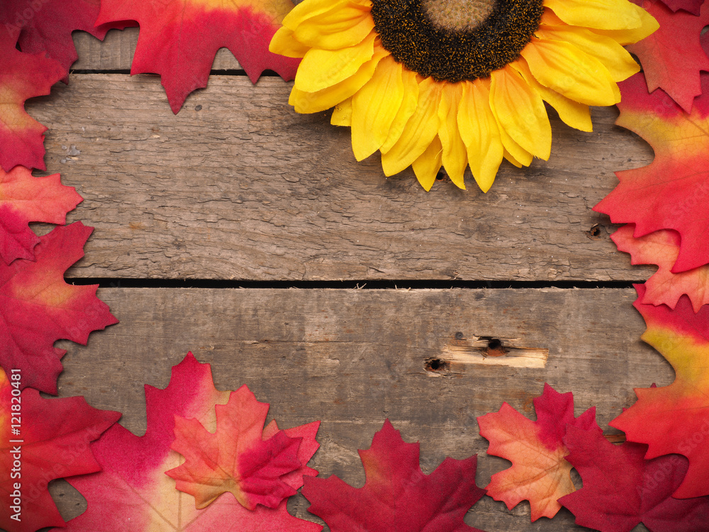 Fototapeta premium Autumn background with colorful leaves
