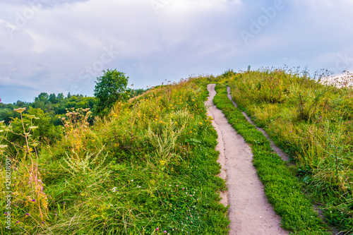 Pathway on a hill with wildflowers. Beautiful natural landscape at sunset with green grass  flowers and cloudy sky. Image of travelling and adventure in countryside. Great outdoors picture.