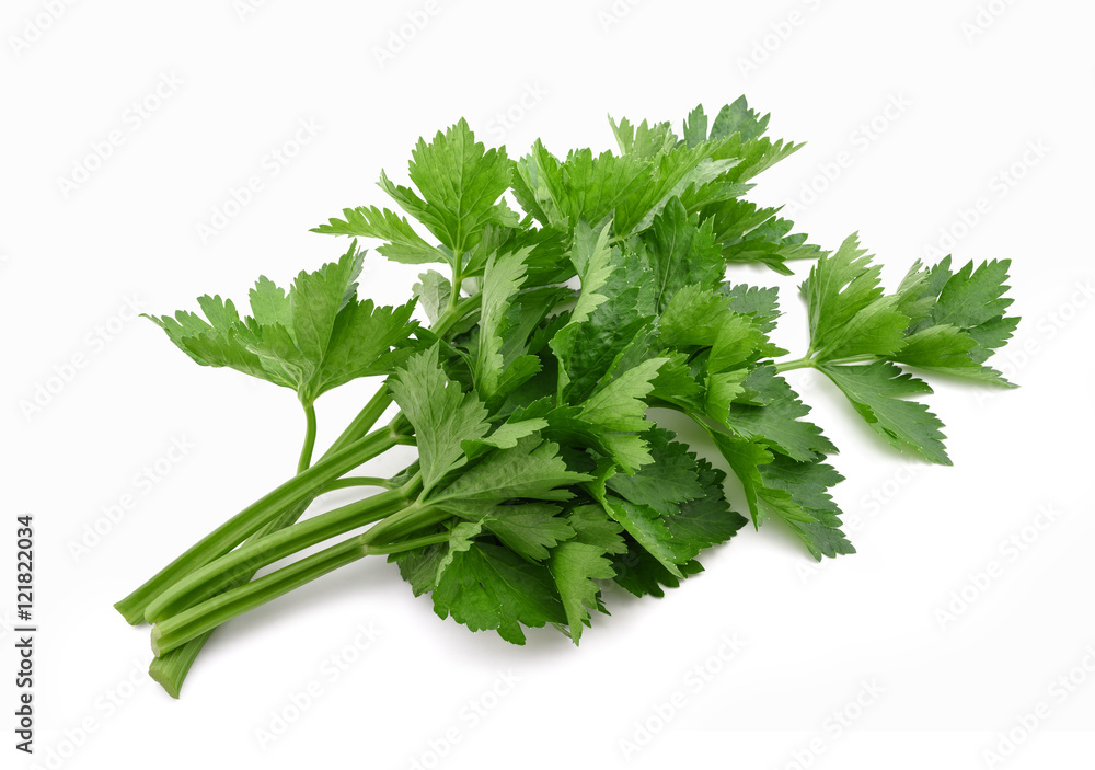Green celery bunch Green celery bunch