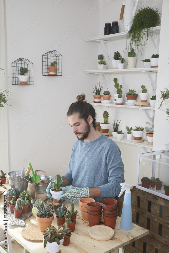 Young man transplanting cactus in his studio Young man transplanting cactus in his studio