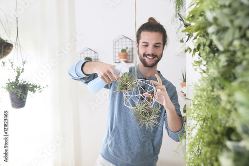 Young man watering air plants in geometric pendant