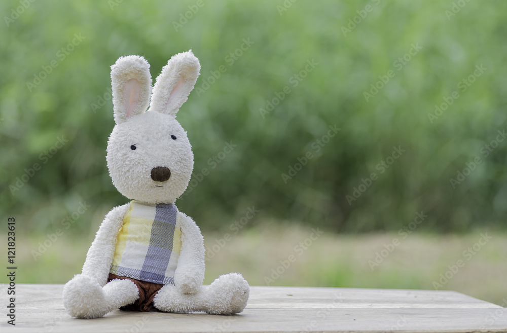 Stuffed animal Rabbit toy on Blurred Background Stuffed animal Rabbit toy on Blurred Background